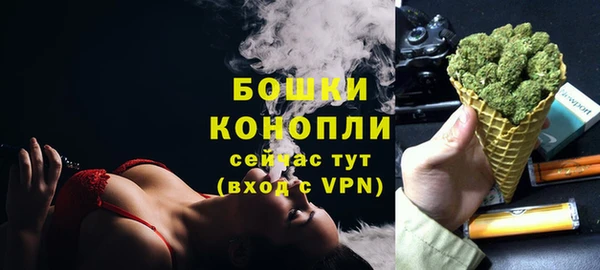 шишки Горно-Алтайск