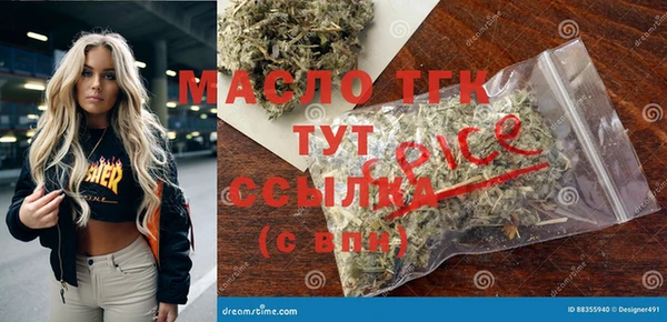 шишки Горно-Алтайск