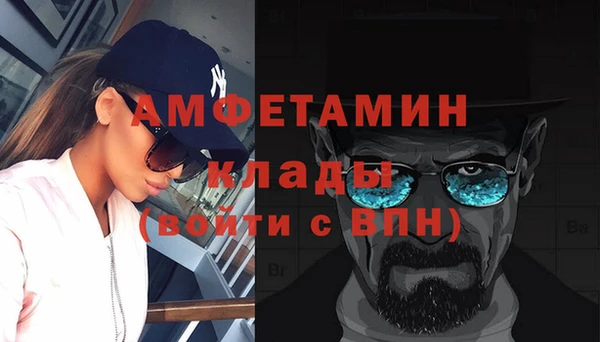 шишки Горно-Алтайск