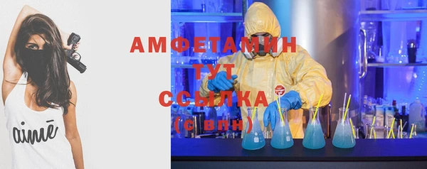 шишки Горно-Алтайск