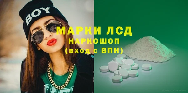 шишки Горно-Алтайск