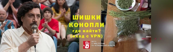шишки Горно-Алтайск