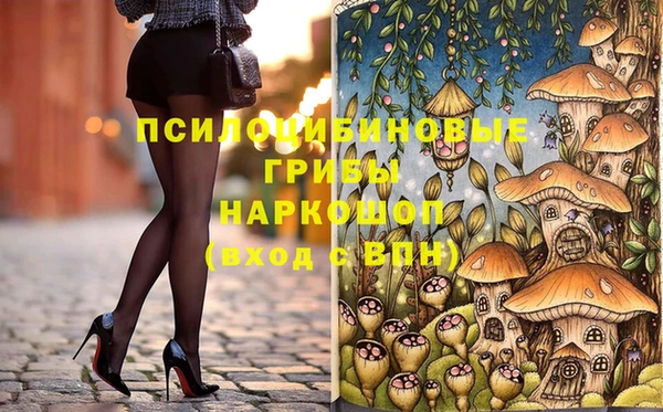 дурь Горняк