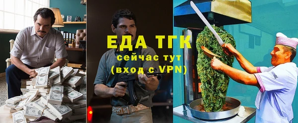 шишки Горно-Алтайск