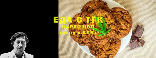 шишки Горно-Алтайск