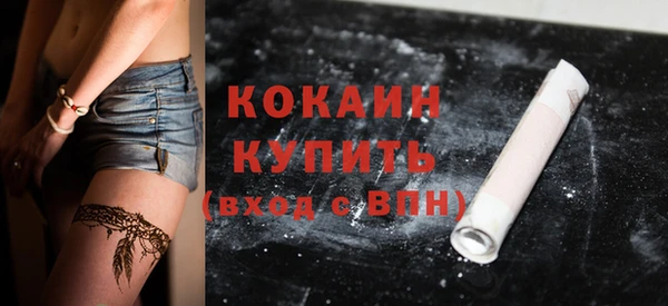 шишки Горно-Алтайск