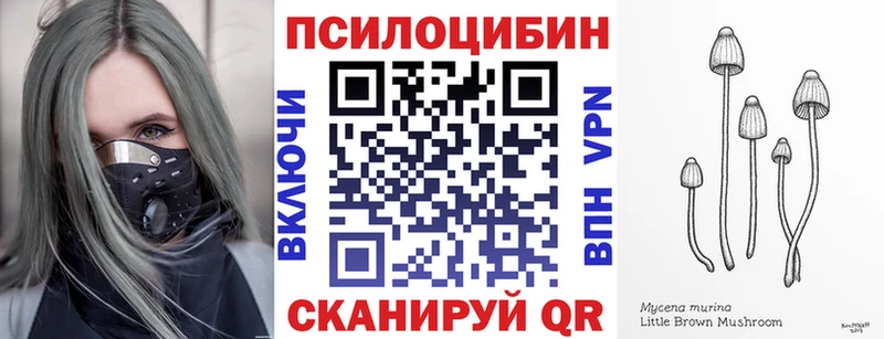 купить  цена  Чернушка  ОМГ ОМГ зеркало  Галлюциногенные грибы ЛСД 